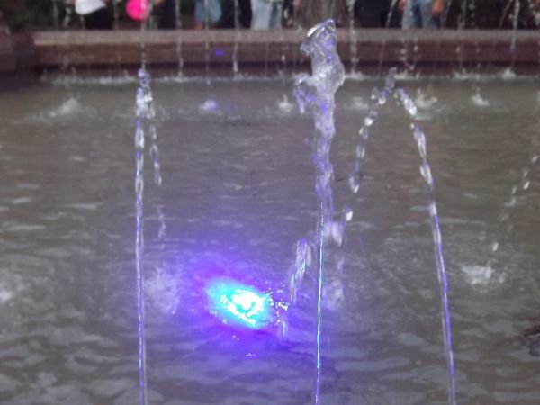 DSCF2819