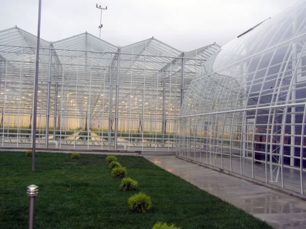 photo2_1