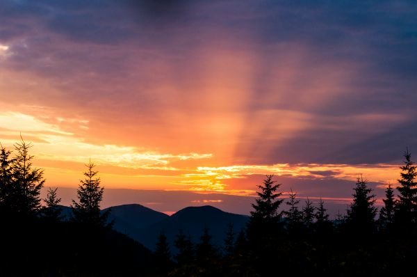 _DSC7513