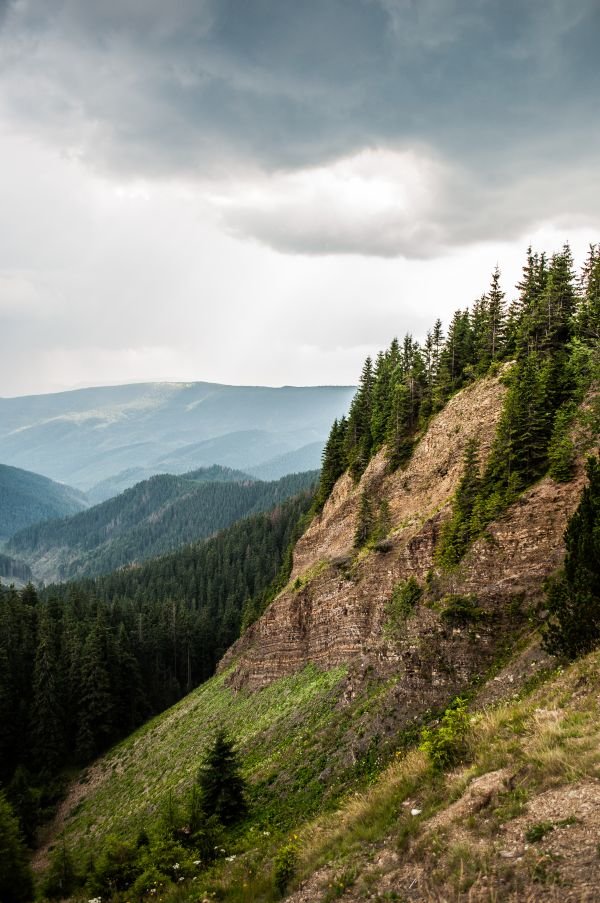 _DSC7735