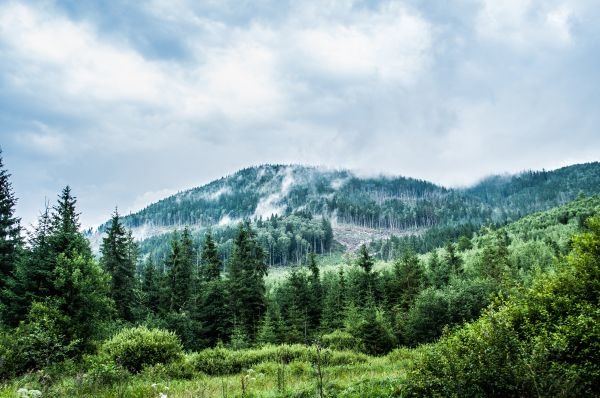 _DSC7175-2
