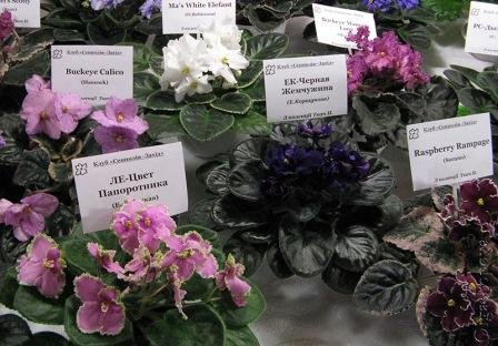 20130307_0200
