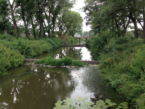 zbara