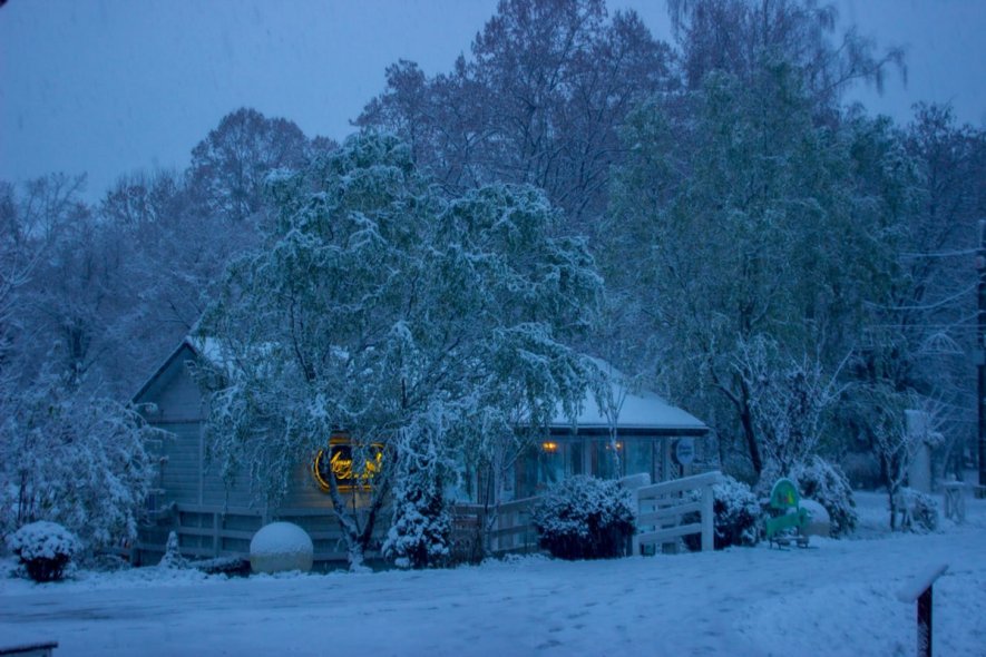 "Снігопад триватиме 12 днів, ожеледиця і негода суне в місцевість": синоптики попередили про дощ, сніг і мороз