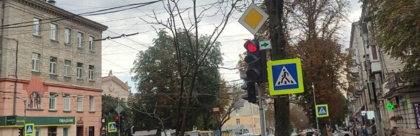 Відсьогодні на вулиці Руській в Тернополі поменшає каштанів, їх зрубають