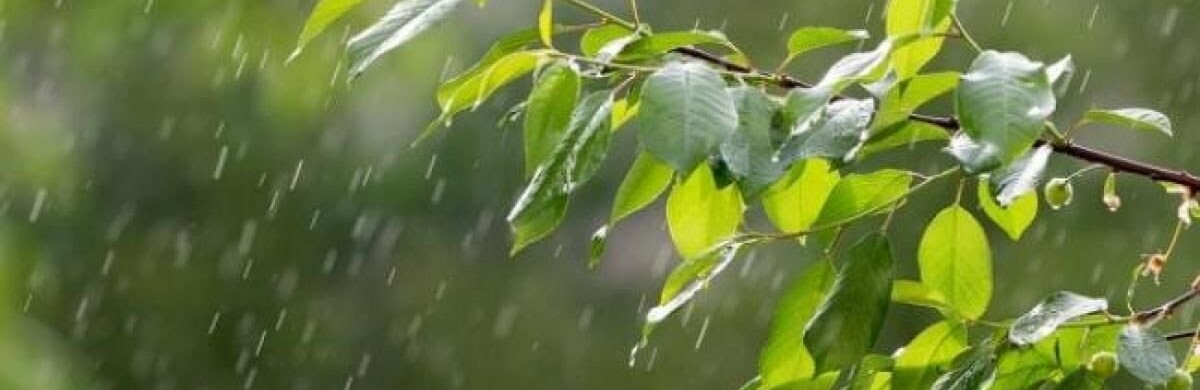 В Україні потужно вдарить непогода: де пройдуть зливи