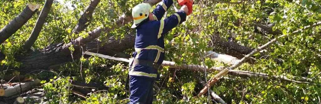 У Тернополі повалене вітром дерево заблокувало станцію швидкої допомоги