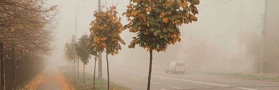 Водіям варто бути уважними: на Тернопільщину насувається сильний туман