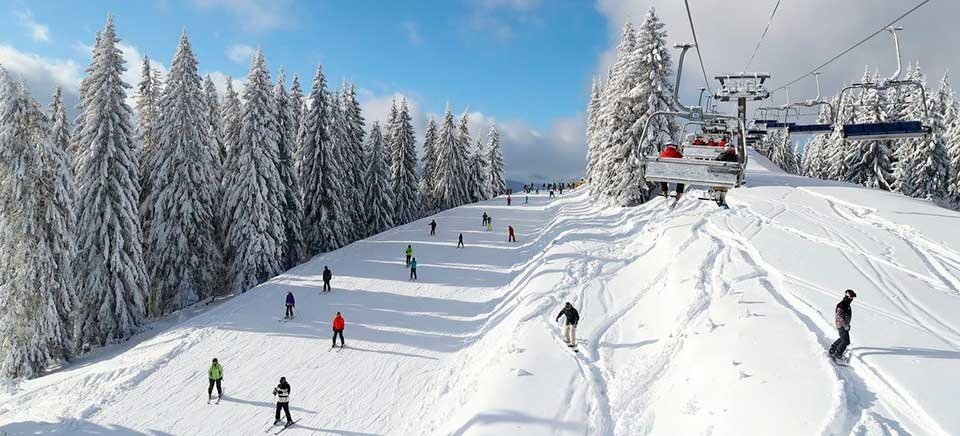 СБУ перевіряє російську блогерку, яка у Карпати - журналіст