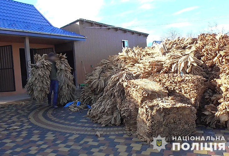 На Тернопільщині викрили незаконне виробництво тютюну, який згодом продавали на всю Україну