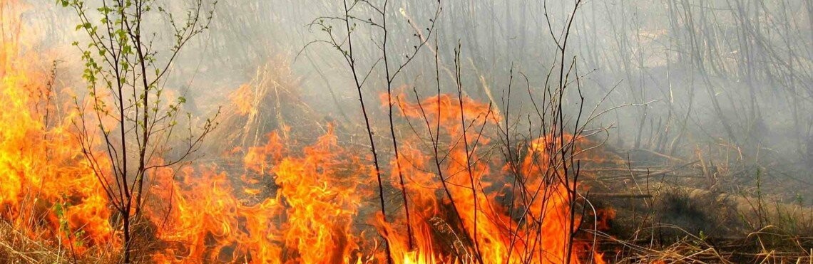 В Україні оголошено надзвичайний рівень небезпеки: чи є у списку областей Тернопільщина