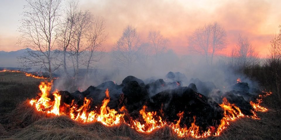 На Тернопільщині оголошено надзвичайну пожежну небезпеку