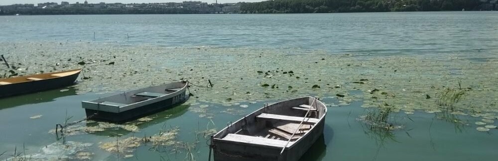 Хочеться поплавати: чи безпечно купатися у Тернопільському ставі