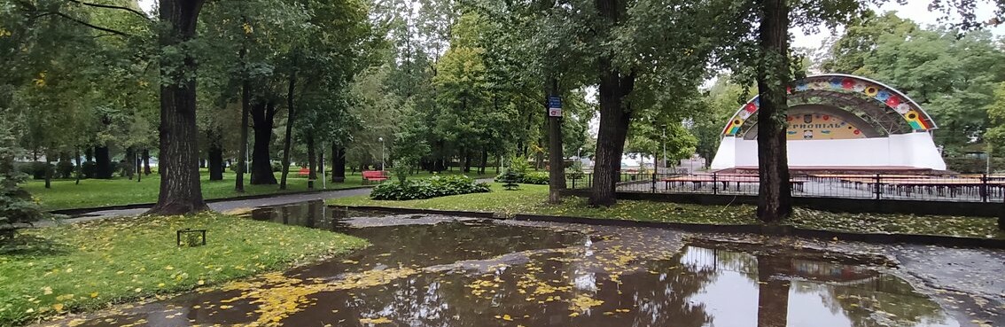 Місцями непрохідний центральний парк, вирване з землі дерево на бульварі: негода наробила біди у Тернополі