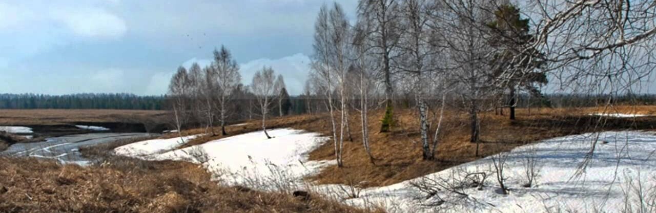 Коли на Тернопільщину прийде тепло