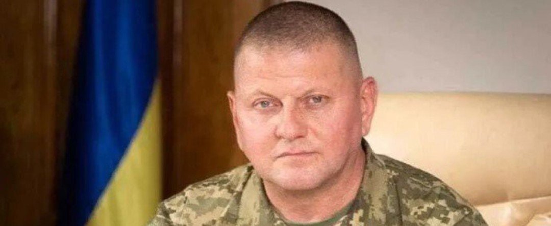Президент Литви нагородив українських посадовців, серед них Залужний