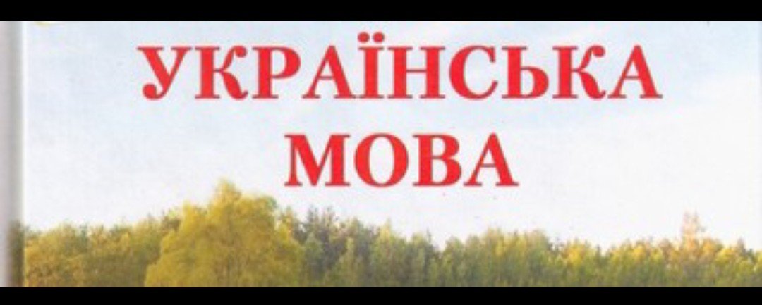 Діти хочуть вивчати українську мову: на ТОТ дозволили уроки української