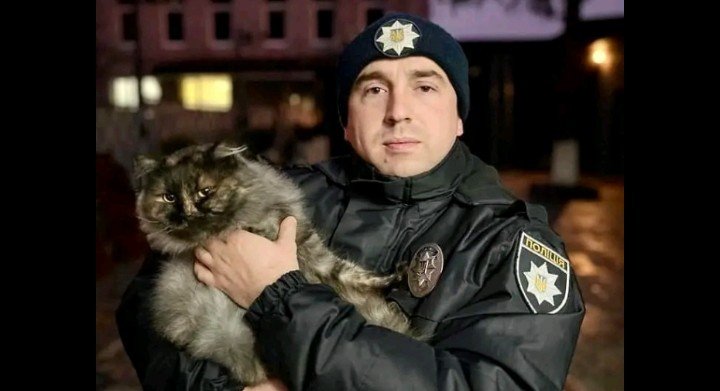 На Тернопільщині кіт врятував життя своїх господарів, виявивши розтяжку та гранату
