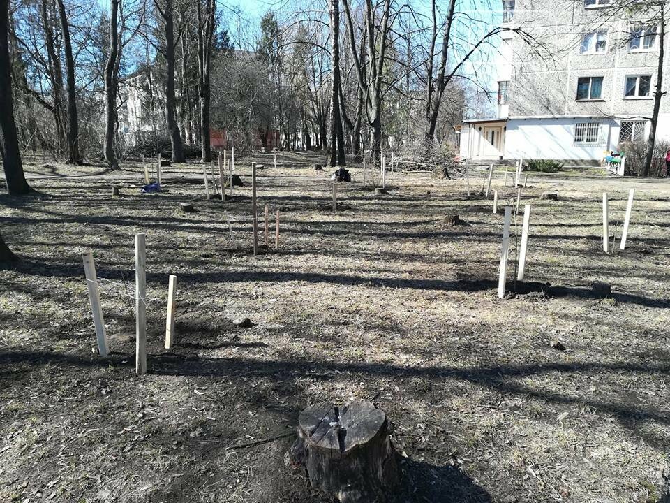 У Тернополі місцеві мешканці разом з ГО "Екоальянс" висадил..., фото-6 У Тернополі місцеві мешканці разом з ГО "Екоальянс" висадили більш як 100 молодих дерев (ФОТОФАКТ), фото-6