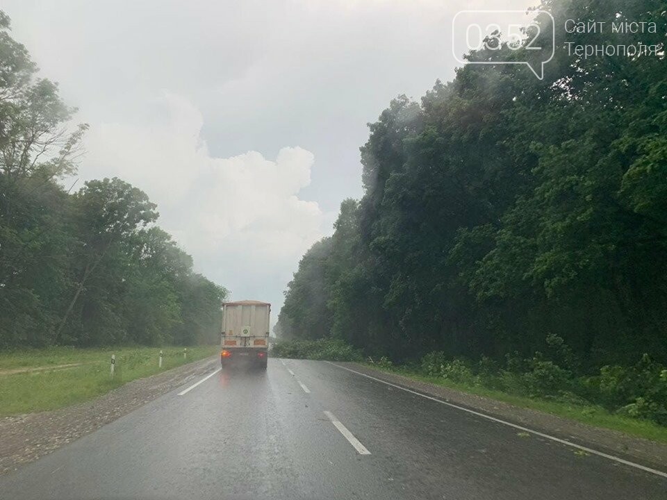 "Стихія не вгаває": поблизу Тернополя негода повалила дерев..., фото-2 "Стихія не вгаває": поблизу Тернополя негода повалила дерево на автодорогу (ФОТО+ВІДЕО), фото-2