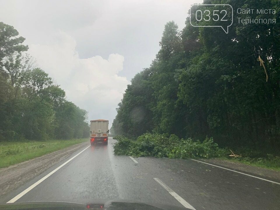 "Стихія не вгаває": поблизу Тернополя негода повалила дерев..., фото-3 "Стихія не вгаває": поблизу Тернополя негода повалила дерево на автодорогу (ФОТО+ВІДЕО), фото-3