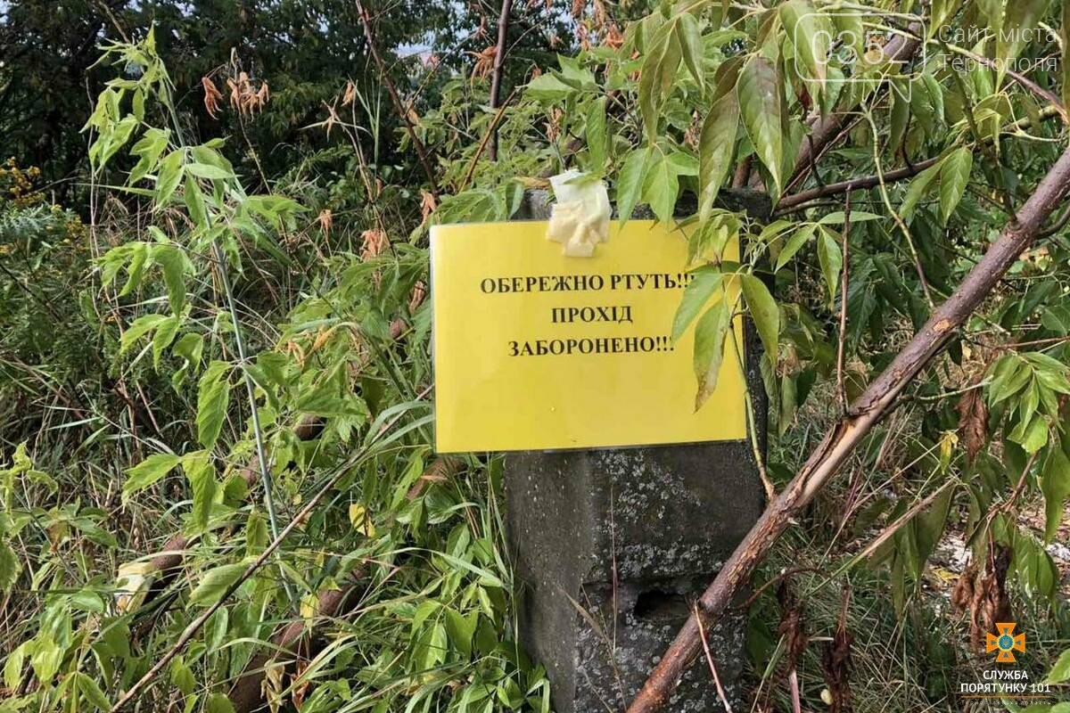 Біля гаражного кооперативу знайдено 18 кілограмів ртуті, фото-1 Біля гаражного кооперативу знайдено 18 кілограмів ртуті, фото-1