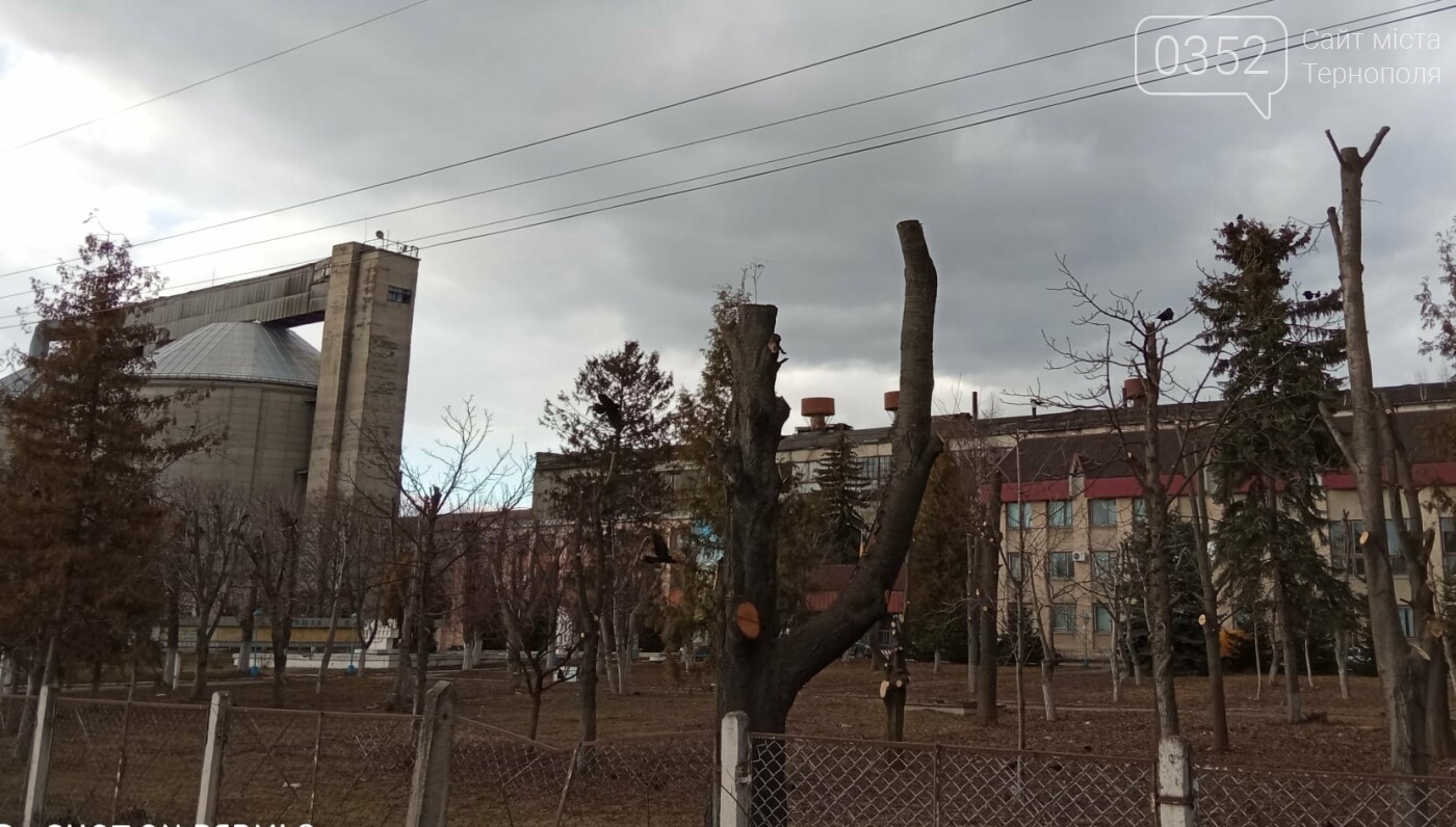 Знищений цукровий завод на Тернопільщині нагадує фільм жахі..., фото-2 Знищений цукровий завод на Тернопільщині нагадує фільм жахів (ФОТО), фото-2