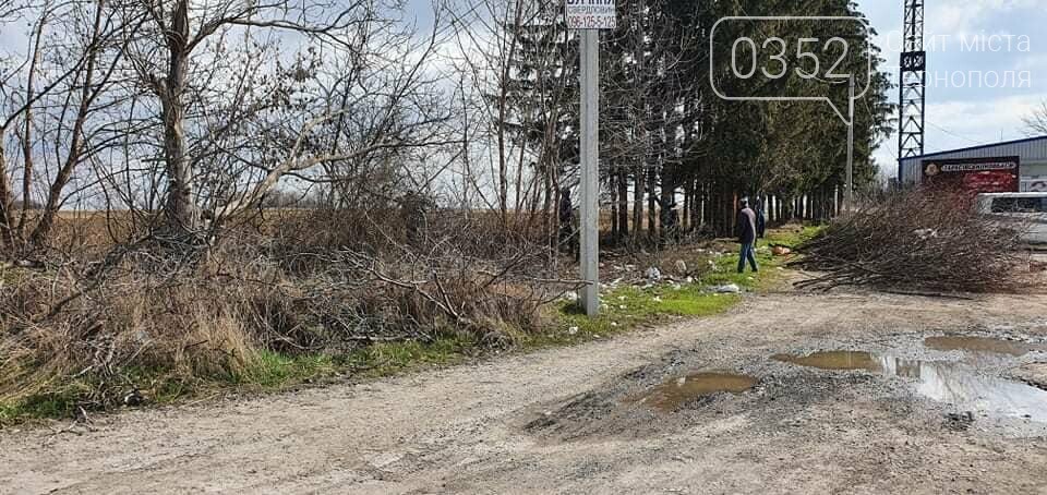 Замість комунальників: на Тернопільщині вчителі та вихователі прибирали узбіччя доріг (ФОТО), фото-2