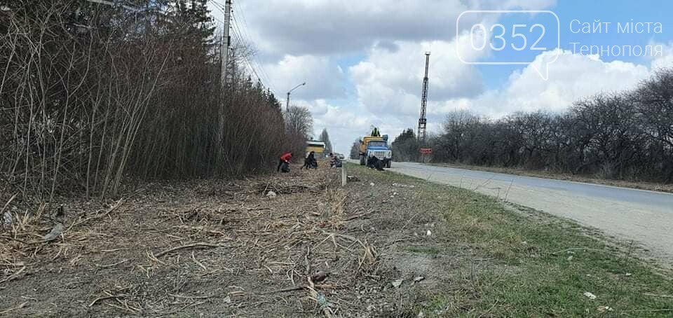 Замість комунальників: на Тернопільщині вчителі та вихователі прибирали узбіччя доріг (ФОТО), фото-1