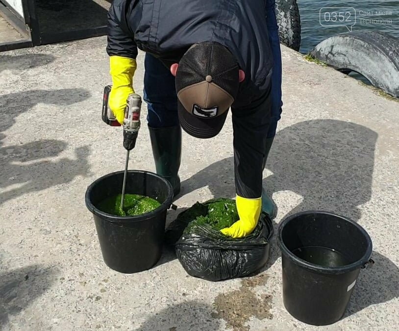 Вперше на Тернопільському ставі провели біологічне очищення суспензією хлорели (ФОТО), фото-1