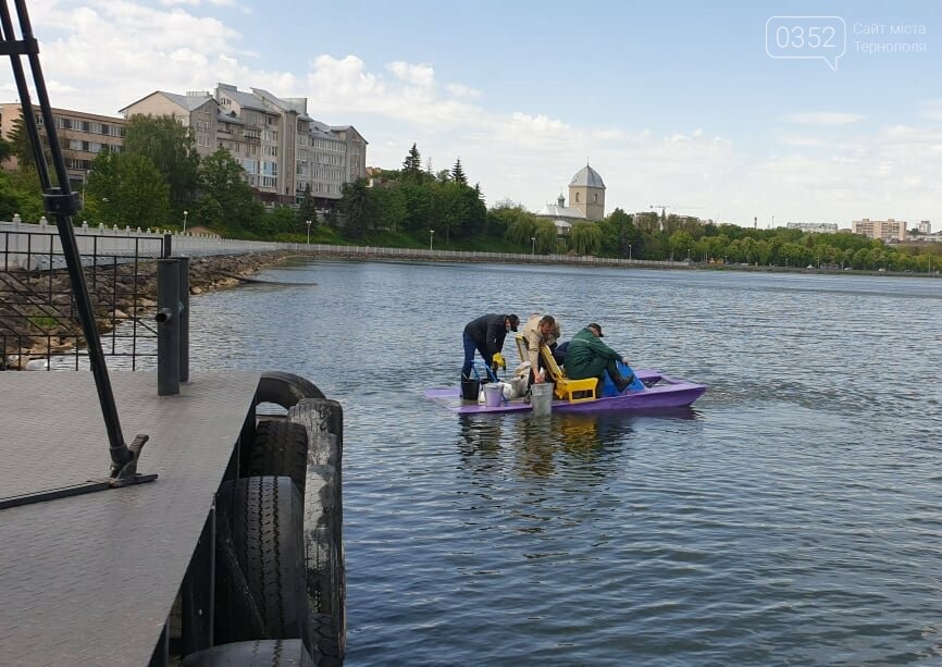 Вперше на Тернопільському ставі провели біологічне очищення суспензією хлорели (ФОТО), фото-3