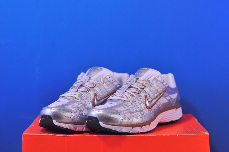 Кросівки Nike P-6000 BV1021-109 - Зображення 1