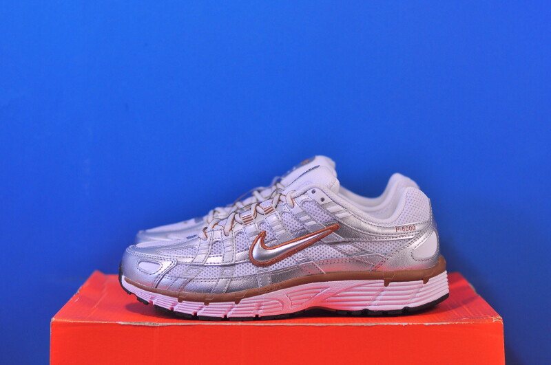 Кросівки Nike P-6000 BV1021-109