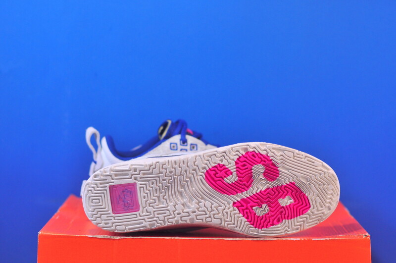 Кросівки Nike SB Day One FN4211-100 - Зображення 4