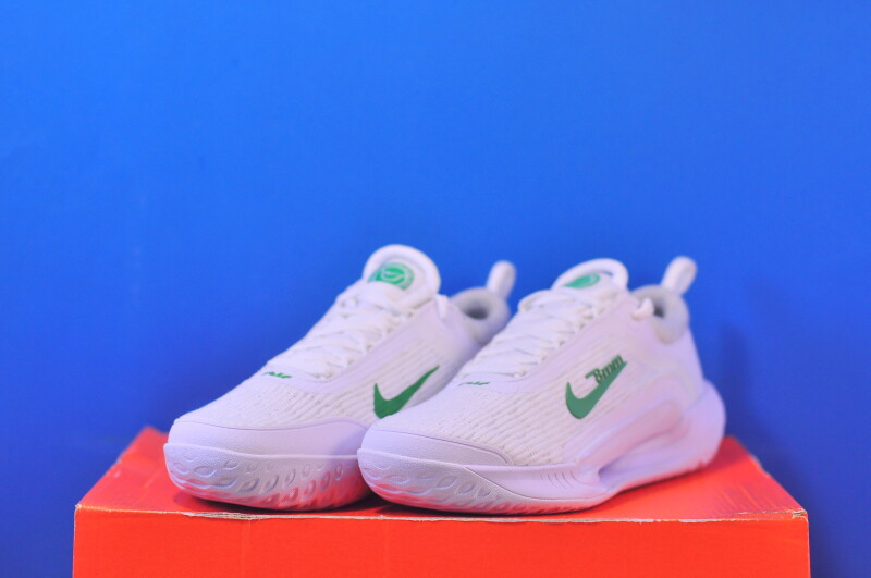 Тенісні кросівки Nike Court Zoom NXT HC DV3282-102 - Зображення 1