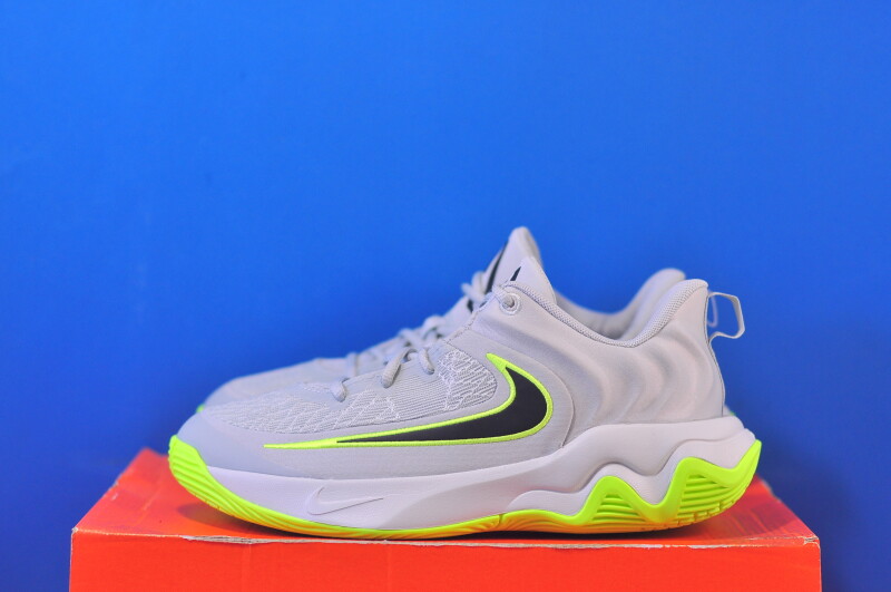 Кросівки Nike Giannis Immortality 4 IH7664-002