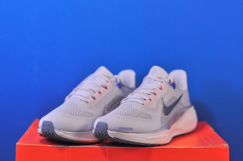 Кросівки Nike Air Zoom Pegasus 41 FD2723-007 - Зображення 1