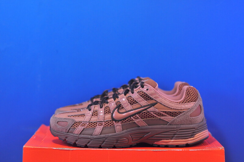 Кросівки Nike P-6000 HF0015-205