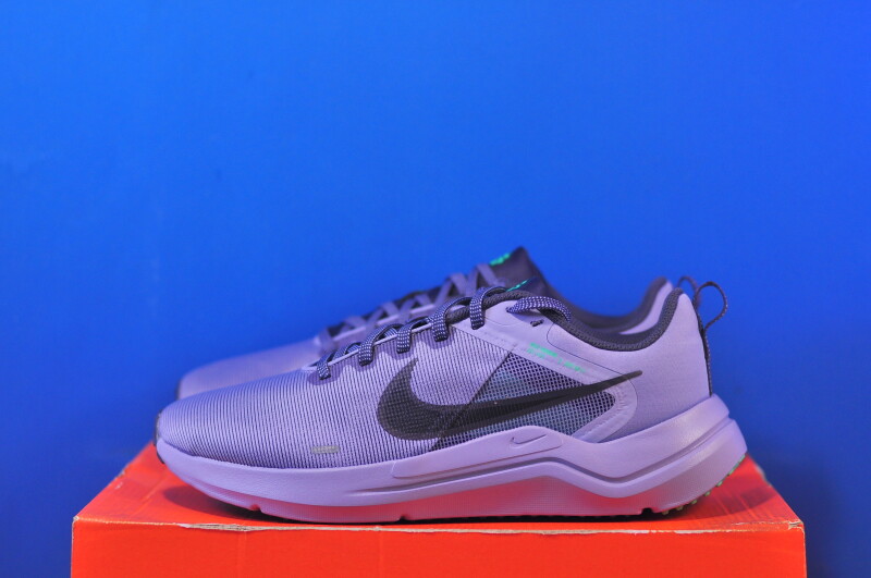 Кросівки Nike Downshifter 12 Grey DD9293-500