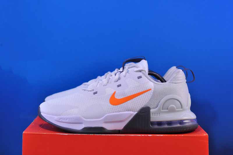 Кросівки Nike Air Max Alpha Trainer 5 DM0829-103