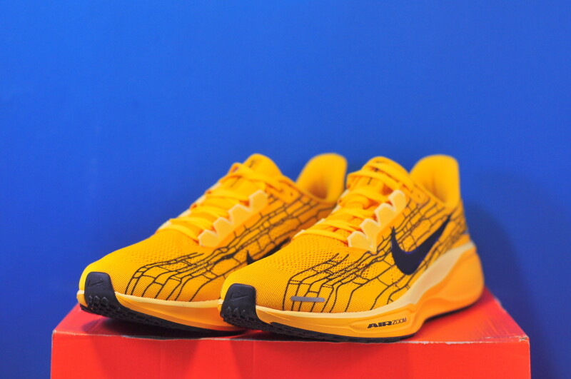 Кросівки Nike Air Zoom Pegasus 41 Orange IH3257-700 - Зображення 1