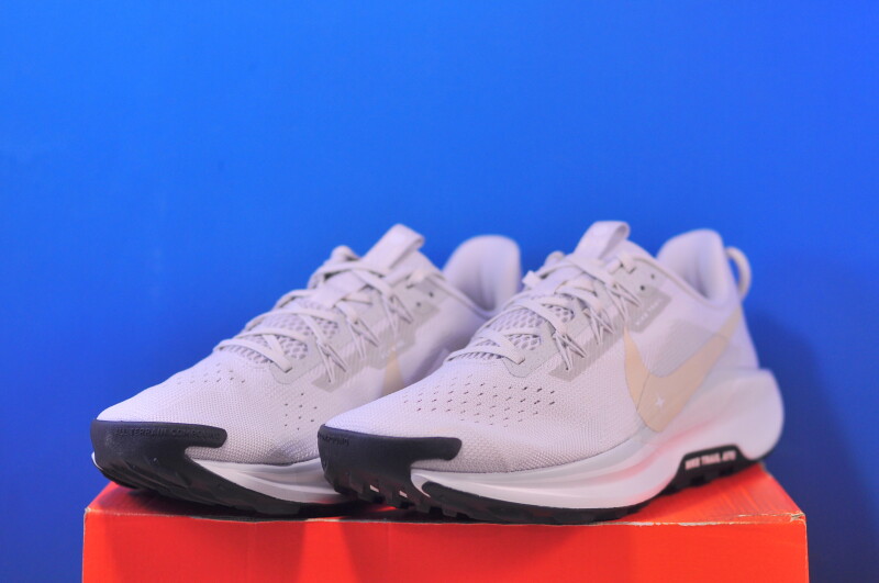 Кросівки Nike Pegasus Trail 5 DV3864-008 - Зображення 1