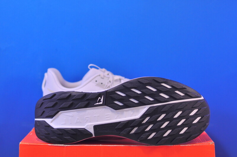 Кросівки Nike Pegasus Trail 5 DV3864-008 - Зображення 4