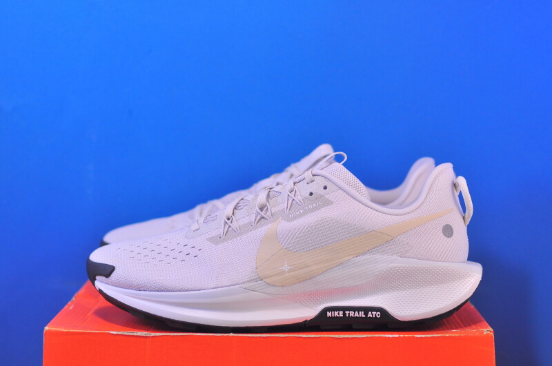 Кросівки Nike Pegasus Trail 5 DV3864-008