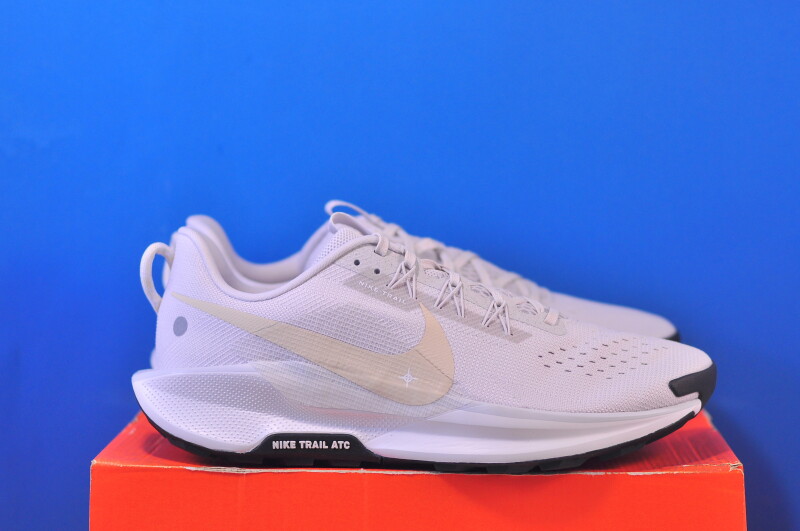 Кросівки Nike Pegasus Trail 5 DV3864-008 - Зображення 3