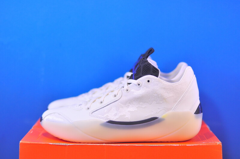 Кросівки Nike Air Jordan XXXIX FQ0213-104
