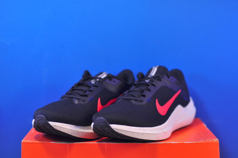 Кросівки Nike Air Winflo 10 Black DV4022-002 - Зображення 1
