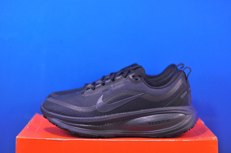 Кросівки Nike Vomero 18 Gtx Black HQ7001-001