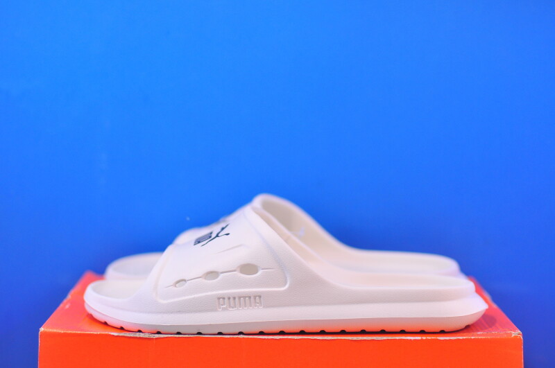 Тапочки Puma Divecat Dry 404854-02