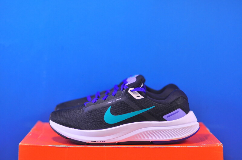 Кросівки Nike Air Zoom Structure 24 DA8570-004
